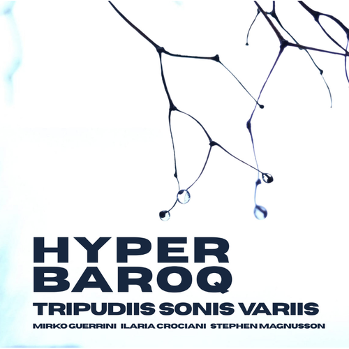hyperbaroq - Tripudiis Sonis Variis (A Jubilation of Sounds)