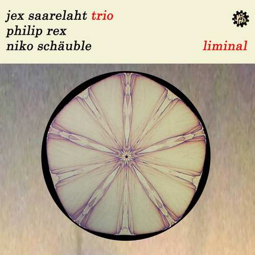 Jex Saarelaht Trio - Liminal
