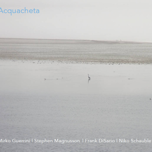 Mirko Guerrini / Stephen Magnusson / Frank DiSario / Niko Schauble - Acquacheta