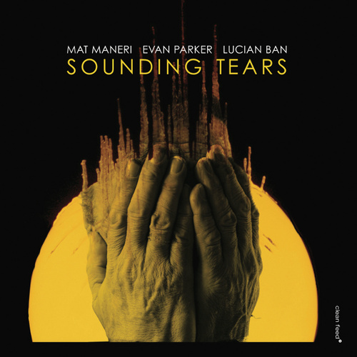 Mat Maneri, Evan Parker & Lucian Ban - Sounding Tears