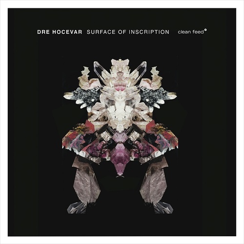 Dré Hočevar - Surface of Inscription