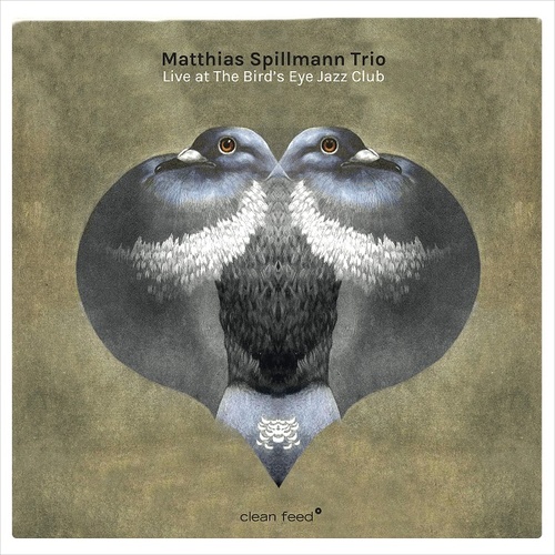 Matthias Spillmann Trio - Live at the Bird's Eye Jazz Club