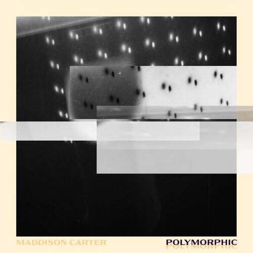 Maddison Carter - Polymorphic