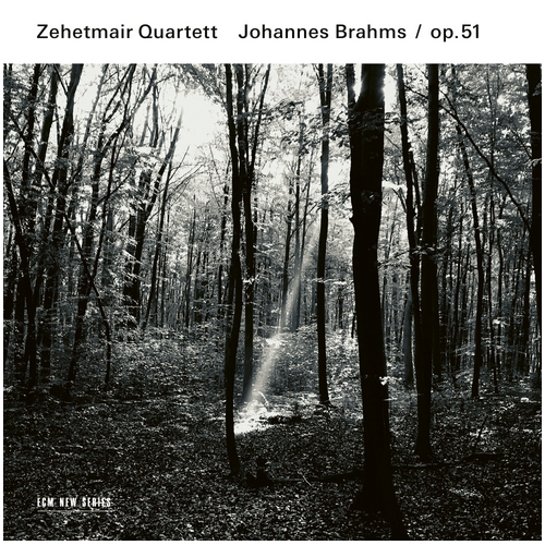 Zehetmair Quartett - Johannes Brahms / op.51