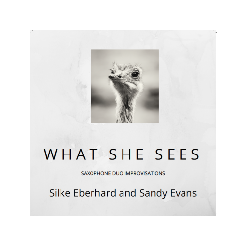 Silke Eberhard & Sandy Evans - What She Sees
