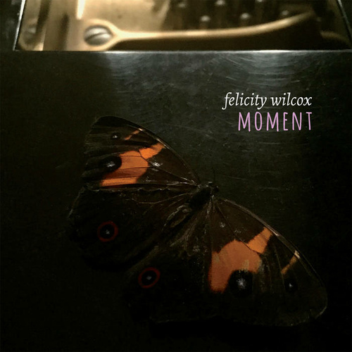 Felicity Wilcox - Moment