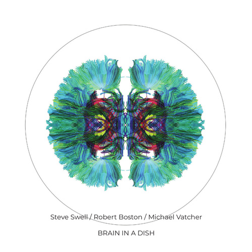 Steve Swell, Robert Boston & Michael Vatcher - Brain in a Dish